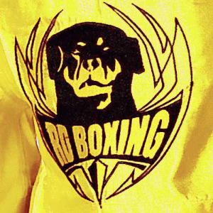 short kick boxing logo jaune