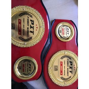 CHEST GUARD / PROTECTIVE BELT COACH